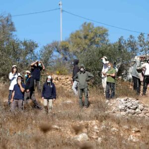 Colons israéliens perturbant la récolte des olives d’un paysan palestinien près de Ramallah.