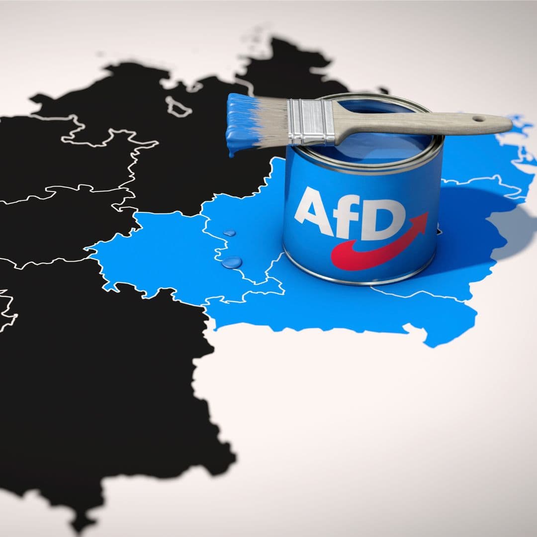 1129 afd