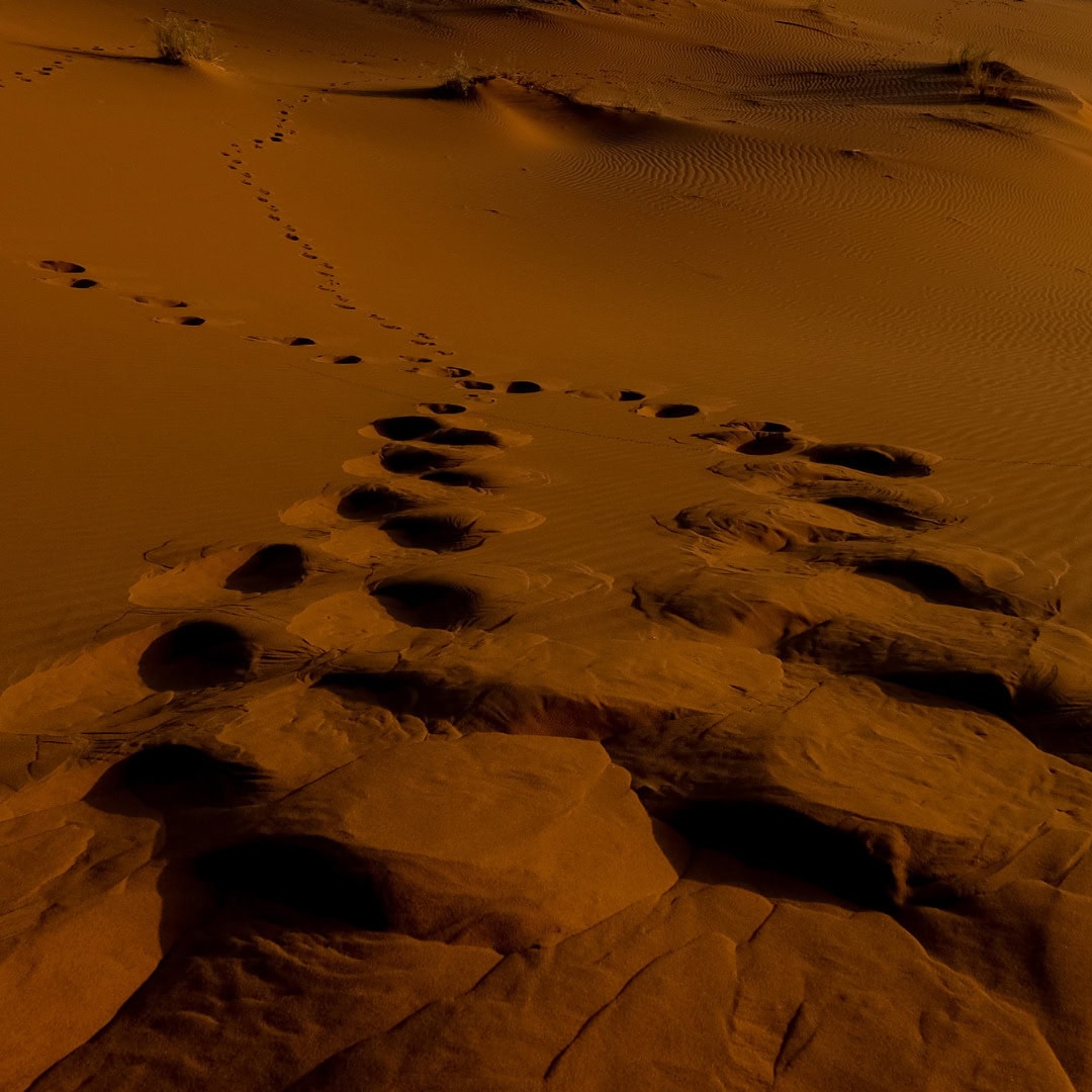 Visuel SITE UTICK 2025-2026 (13)