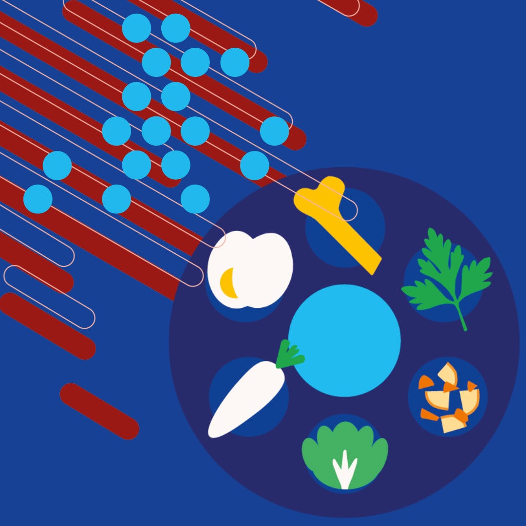 Visuel SITE UTICK 2025-2026 (15)