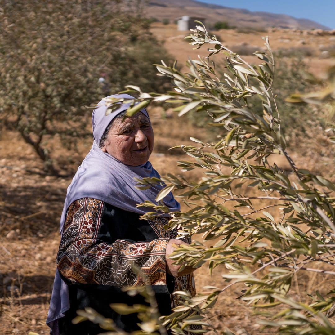 1121 vrais crimes Israël