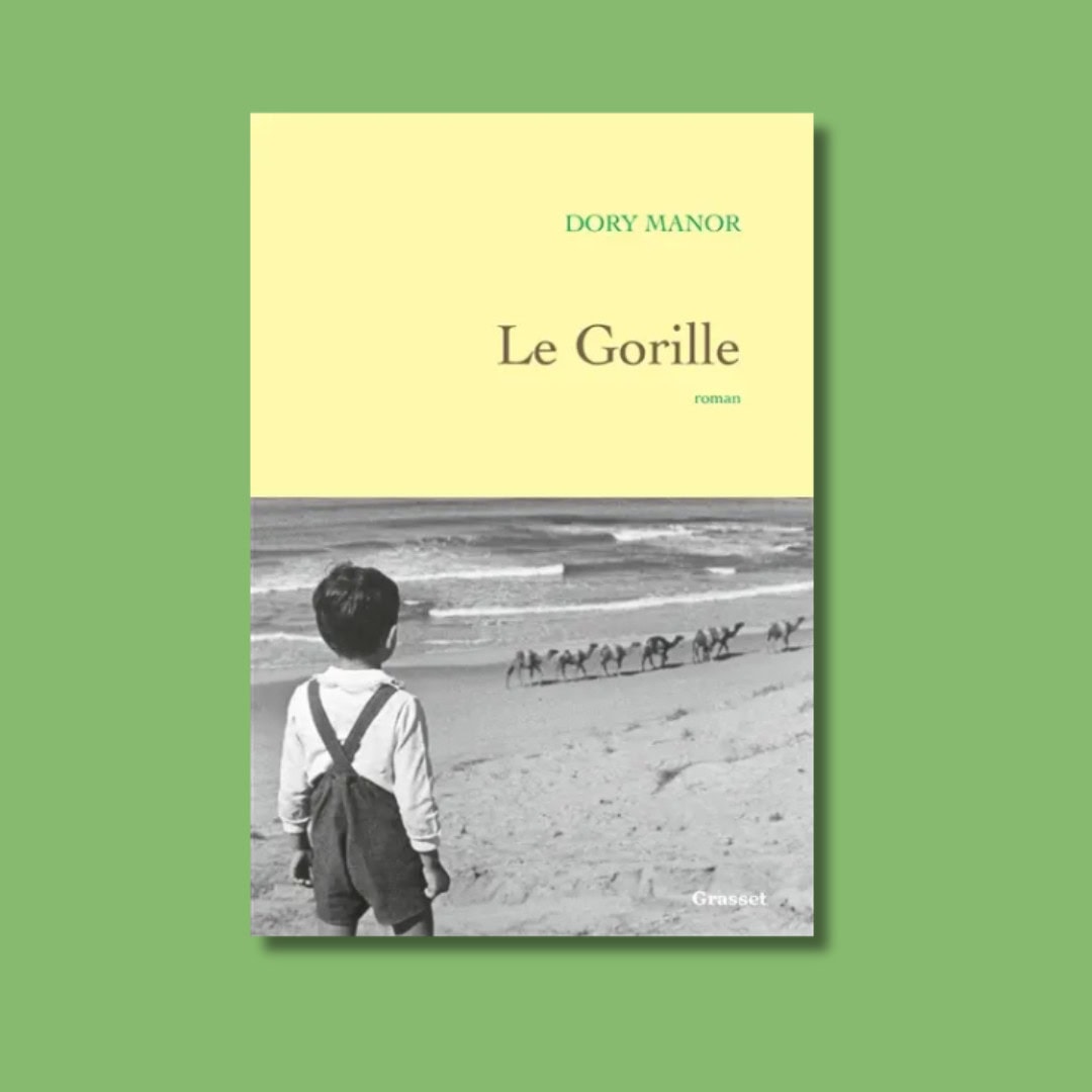 je lis gorille